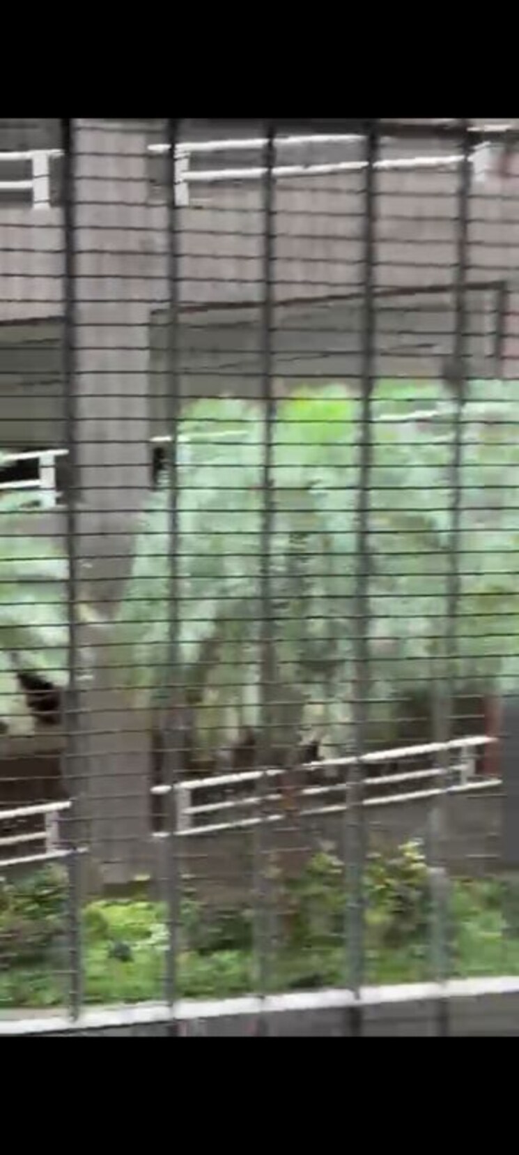 undefined, redstone-saifee-park 1 Bedroom 420 Sq.Ft. Apartment In Byculla Mumbai 9854832