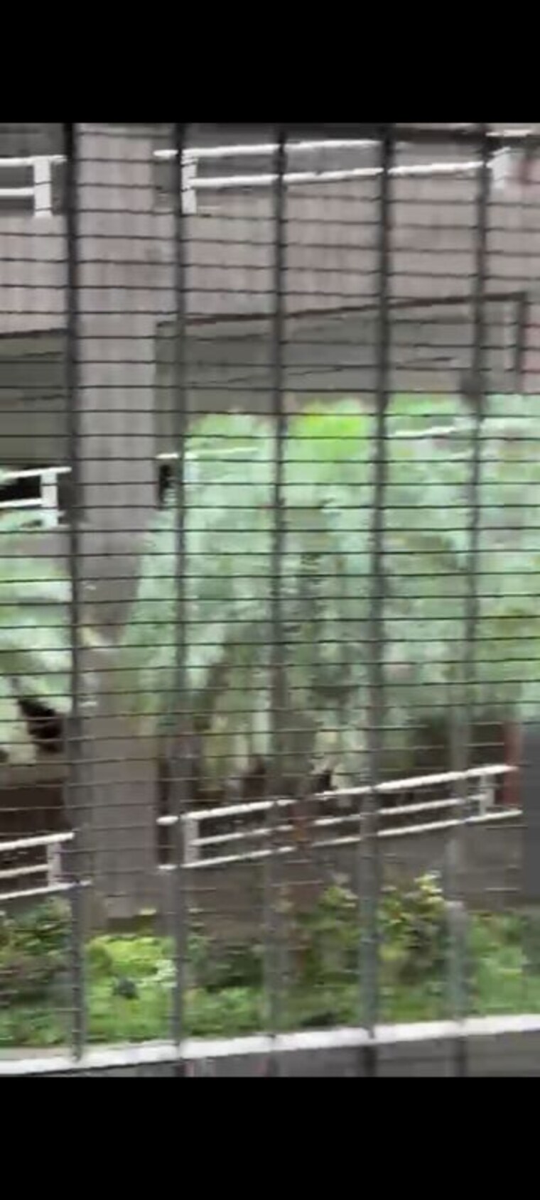 undefined, redstone-saifee-park 1 Bedroom 420 Sq.Ft. Apartment In Byculla Mumbai 9854832