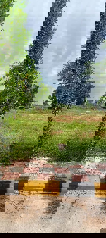 Plot For Sale in Fortune Butterfly City