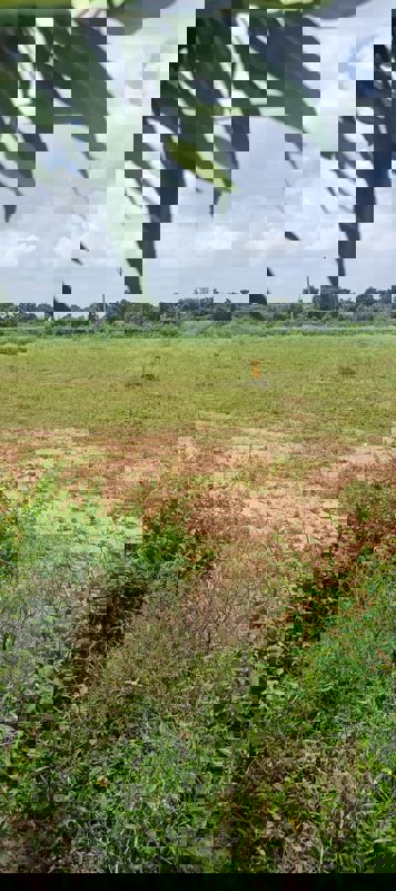 Plot For Sale in Fortune Butterfly City