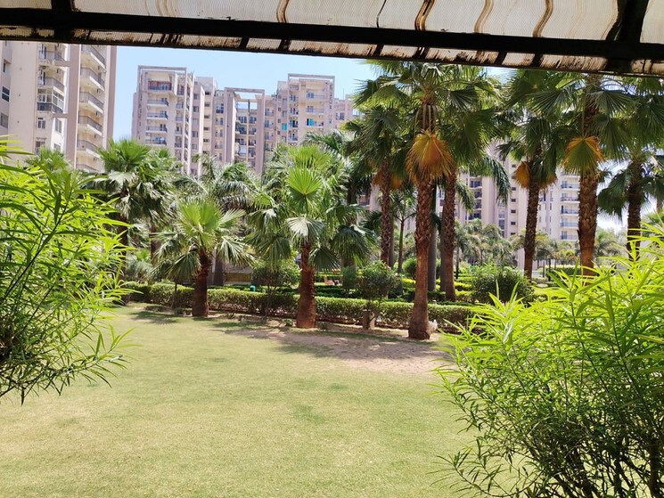 Garden, motiaz-royal-citi 3 Bedroom 1910 Sq.Ft. Apartment In Ambala Highway Zirakpur 9855236
