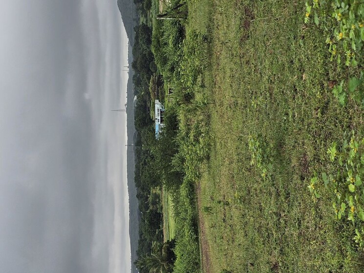 Garden, shinde  4446 Sq.Ft. Plot In Shinde Nashik 9855306