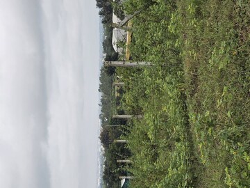  Plot – Exterior View View at Shinde - for Sale