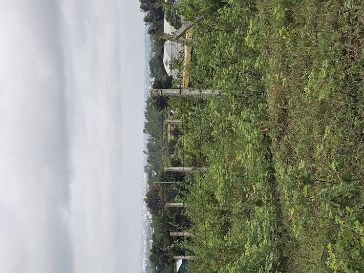 Exterior View, shinde  4446 Sq.Ft. Plot In Shinde Nashik 9855306