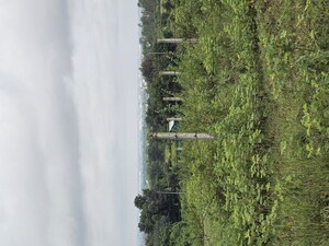  Plot – Garden View at Shinde - for Sale