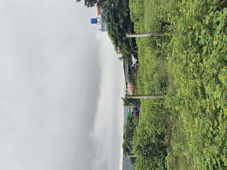 Garden, shinde  4446 Sq.Ft. Plot In Shinde Nashik 9855306