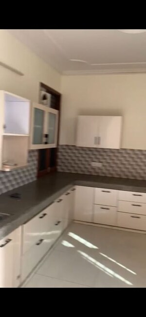 Kitchen in 2 BHK Builder Floor at Sector 21d – for Rent
