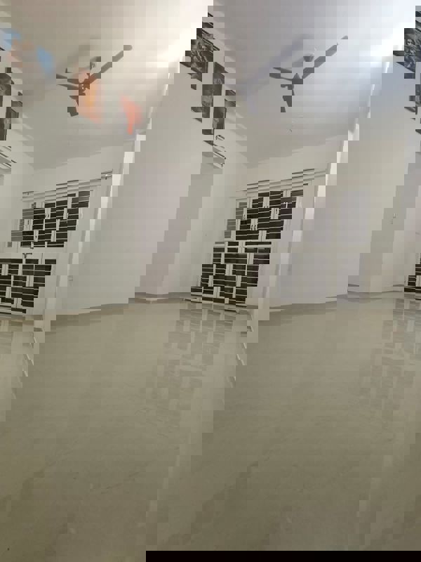 2 BHK Apartment For Rent in Futuristic The Stellar