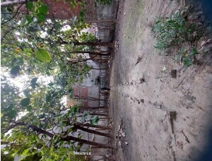  Plot For Rent in Paharia