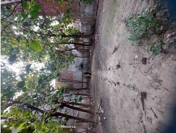  Plot For Rent in Paharia