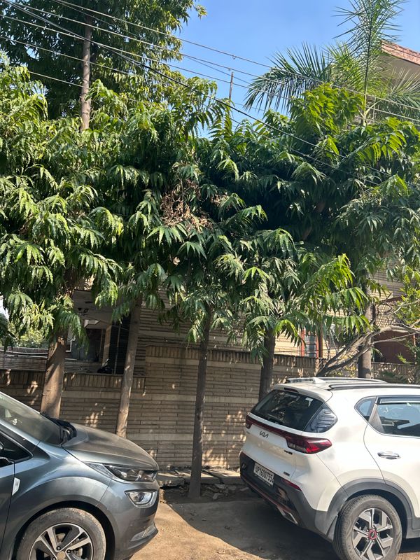 6 BHK + Pooja Room,Servant Room,Study Room Independent House For Sale in Sector 30