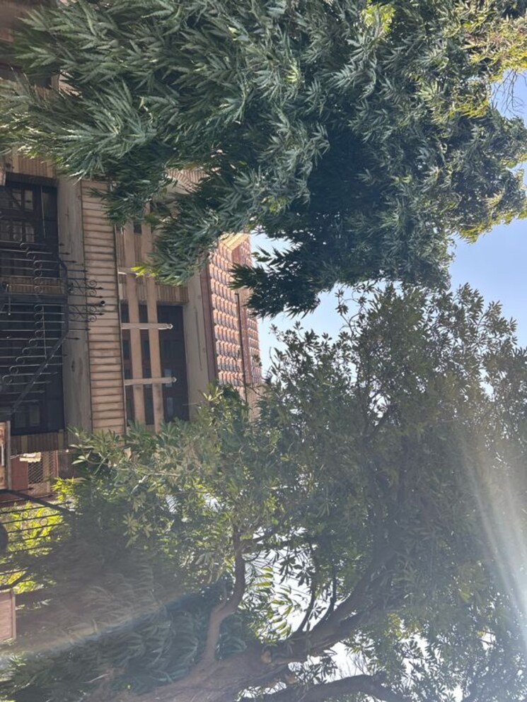 Exterior View, sector 30 6 Bedroom 225 Sq.Mt. Independent House In Sector 30 Noida 9855818