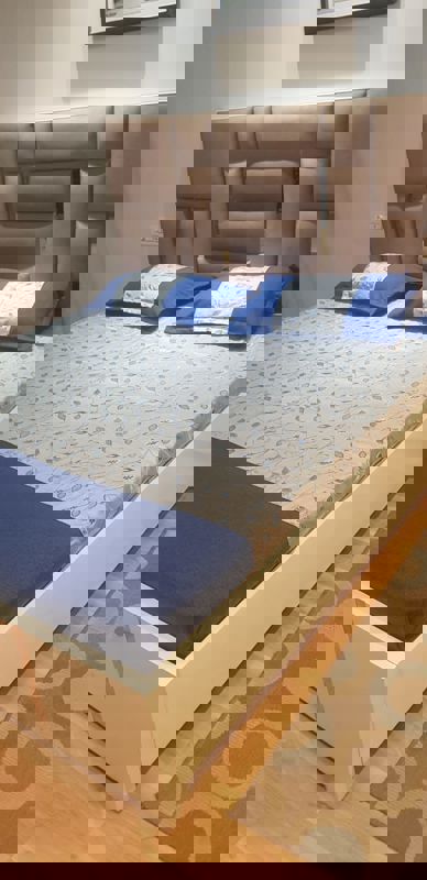 3 BHK + Store Room Builder Floor For Sale in Sector 12 Panchkula