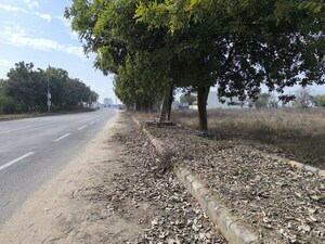 Plot Area in  Plot at Pataudi – for Sale