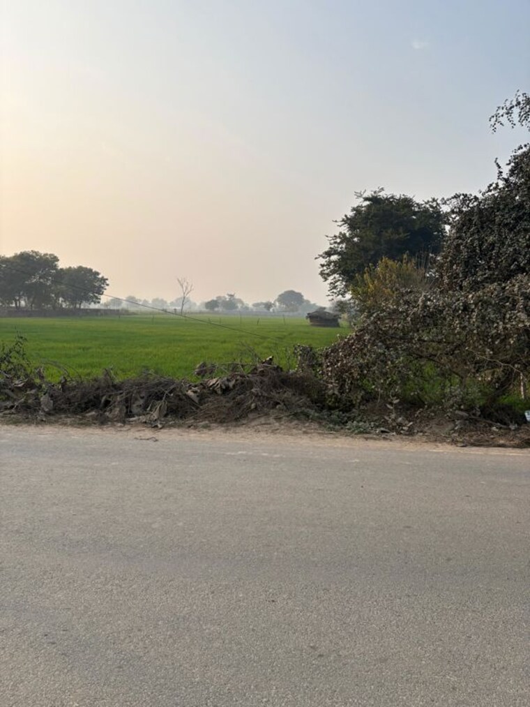 undefined, sk-the-grand-city Commercial Land 1686 Sq.Mt. In Jewar Greater Noida 9856155