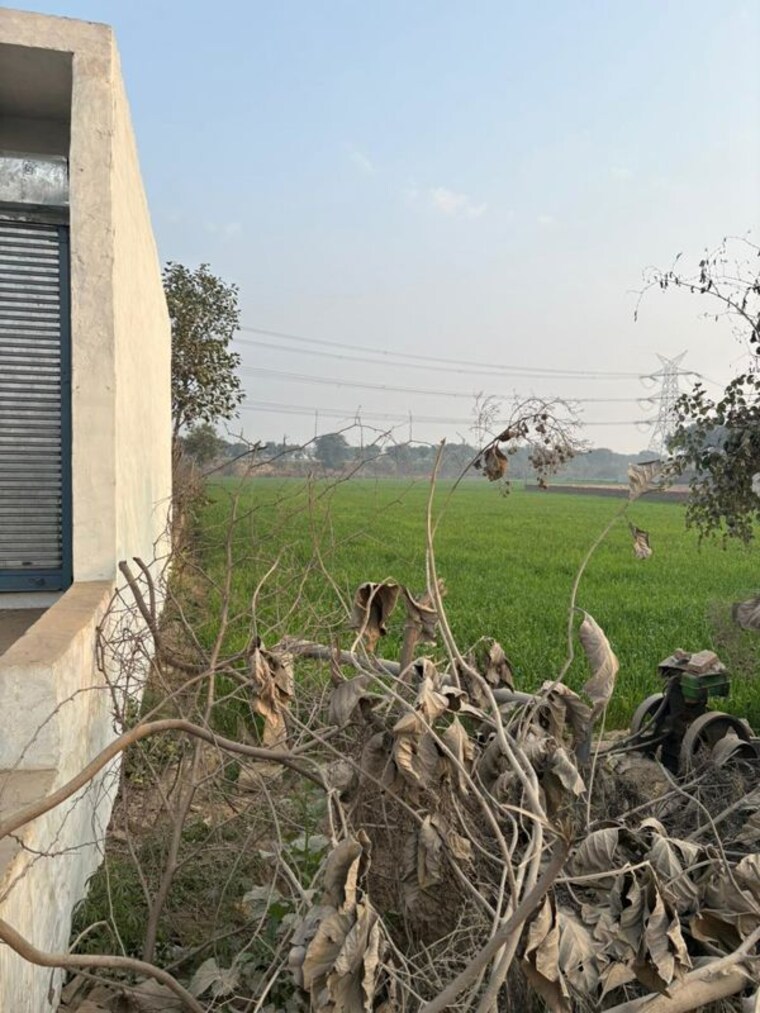 undefined, sk-the-grand-city Commercial Land 1686 Sq.Mt. In Jewar Greater Noida 9856155