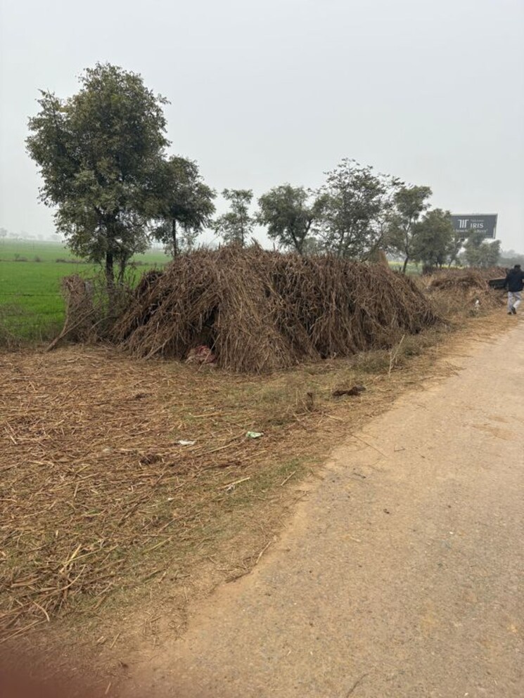 undefined, jdia-dream-city Commercial Land 1 Acre In Jewar Greater Noida 9856204