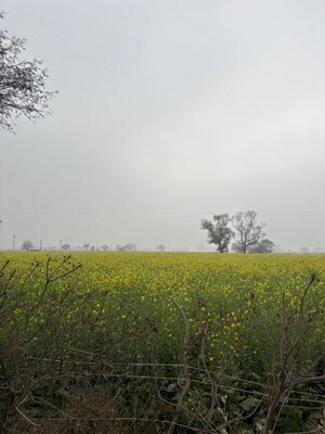 Plot Area in  Land at JDIA Dream City, Jewar – for Sale