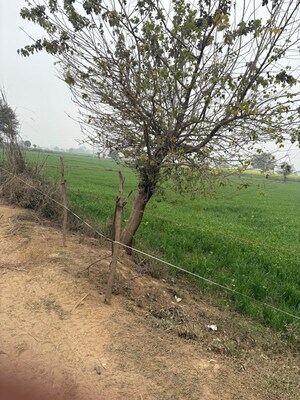 Plot Area in  Land at JDIA Dream City, Jewar – for Sale