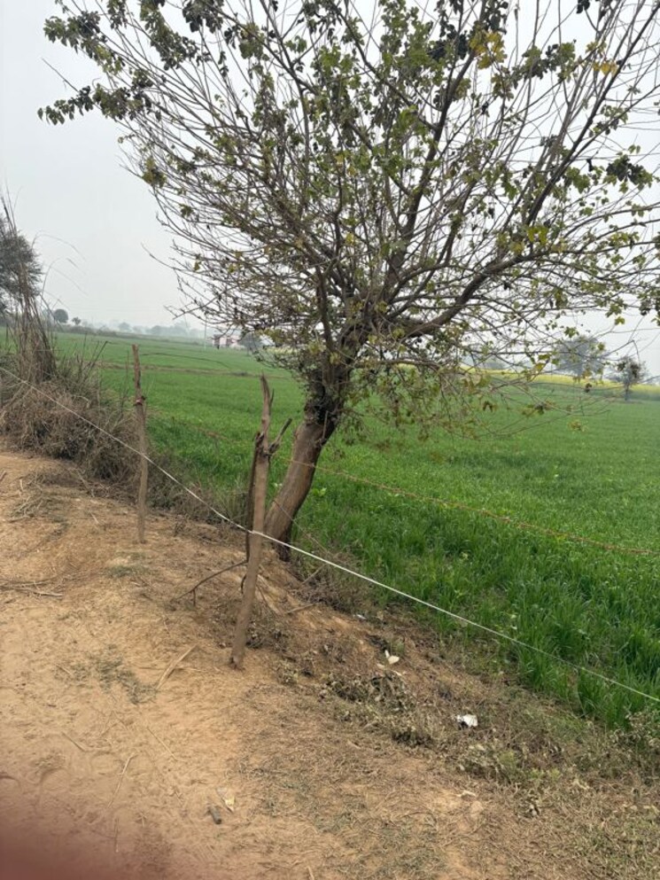 undefined, jdia-dream-city Commercial Land 1 Acre In Jewar Greater Noida 9856204