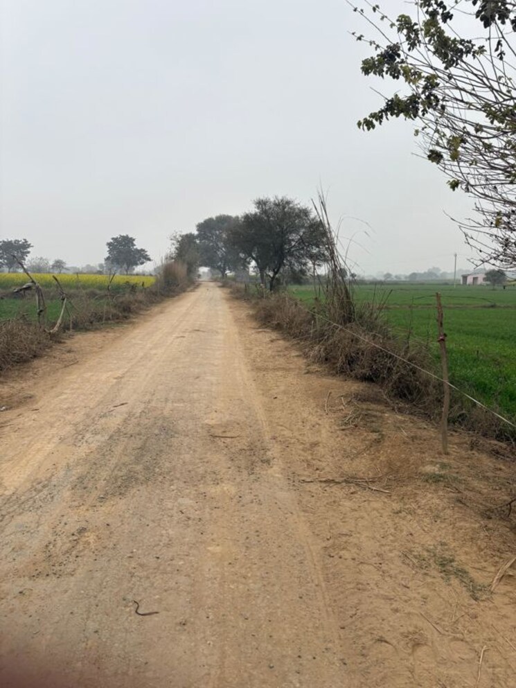 undefined, jdia-dream-city Commercial Land 1 Acre In Jewar Greater Noida 9856204