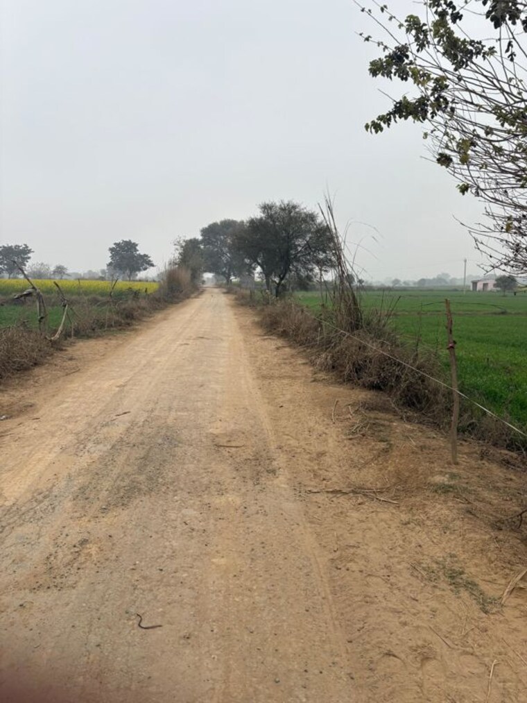 undefined, jdia-dream-city Commercial Land 1 Acre In Jewar Greater Noida 9856204