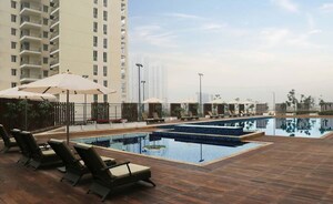 Swimming Pool in 3 BHK Apartment at Godrej Aria, Sector 79 – for Rent