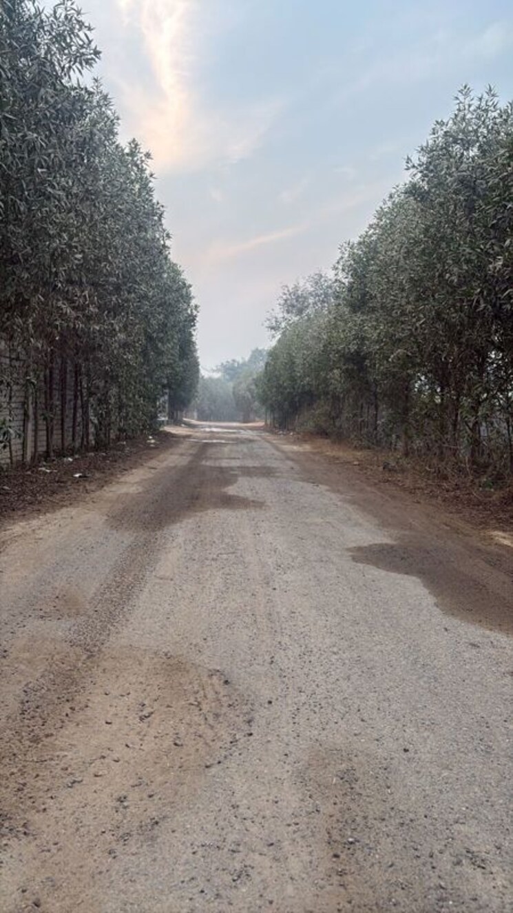 undefined, sunpura  100 Sq.Yd. Plot In Sunpura Greater Noida 9856423