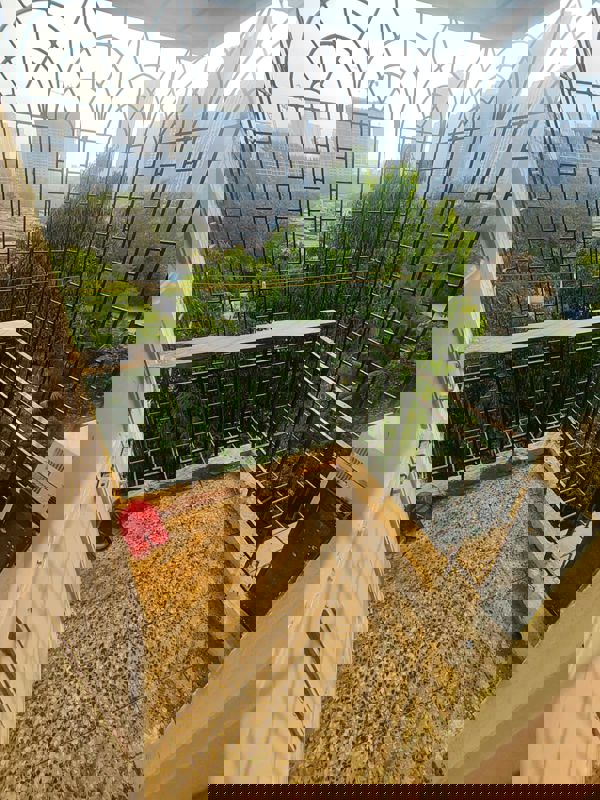 1 BHK Apartment For Sale in Tulshidham Complex