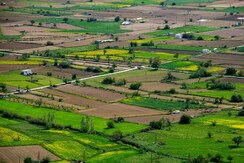 Plot For Sale in Aerocity
