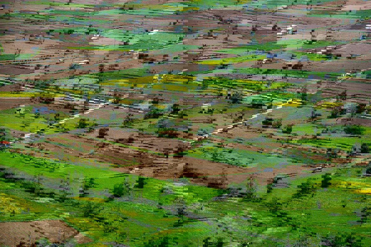 Plot For Sale in Aerocity