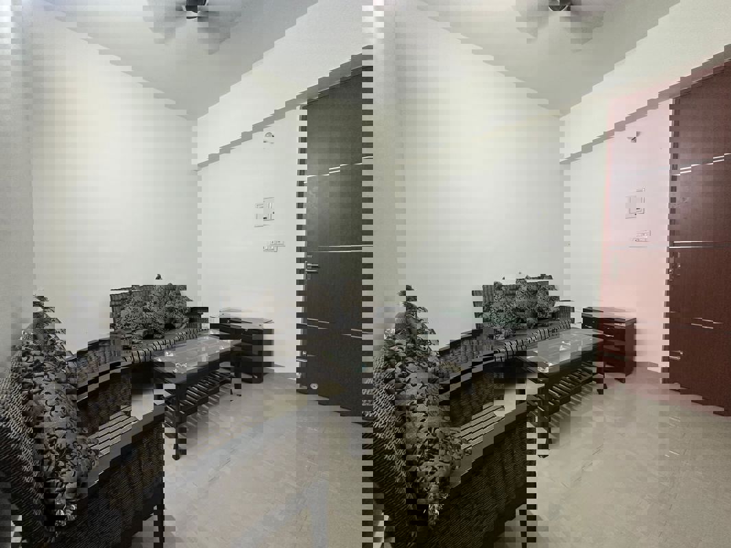 2 BHK Apartment For Rent in AKG Skyline Plaza