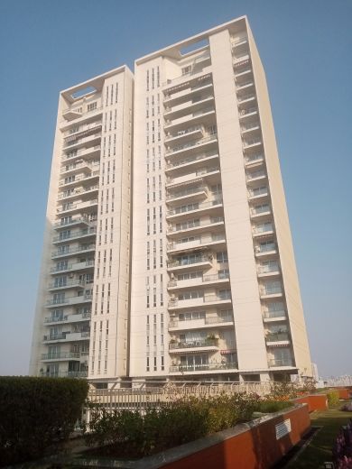6 BHK + Servant Room 6800 Sq.Ft. Apartment in Experion Windchants
