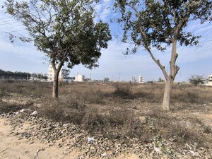 Plot Area in  Plot at Pataudi – for Sale