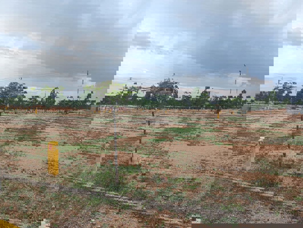 Plot For Sale in CBC Cosmopolis