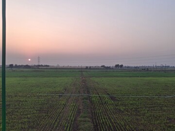  Land For Rent in Jahangirpura