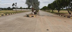 Plot For Sale in Fortune Butterfly City