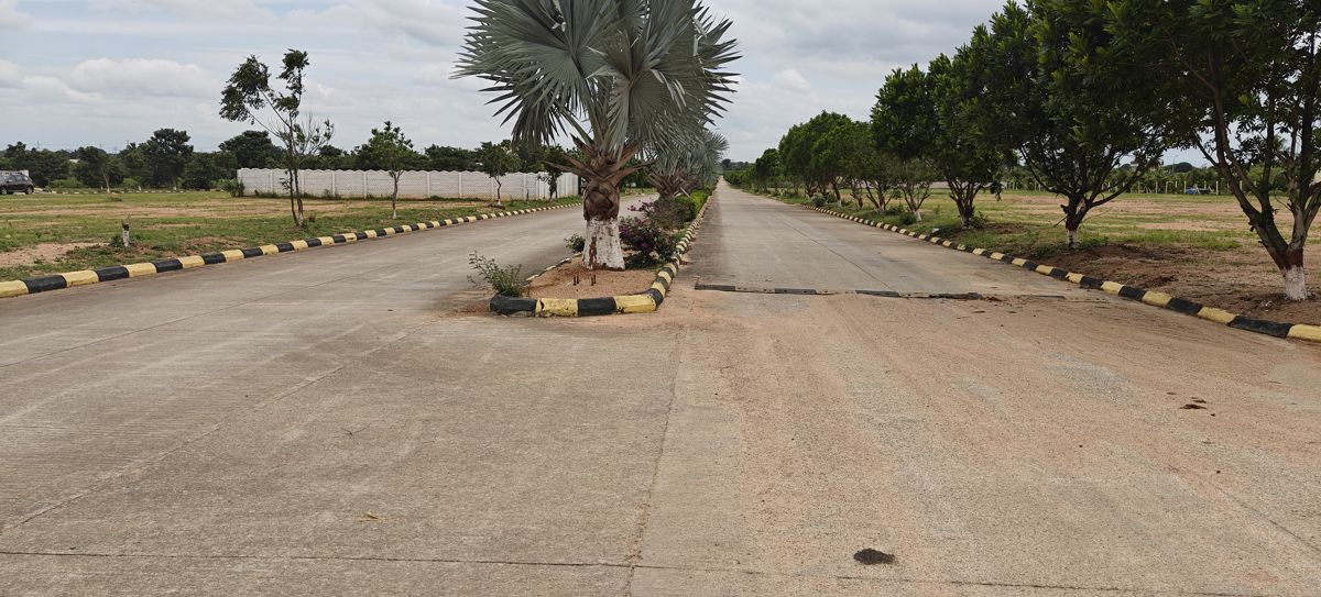 Plot For Sale in Fortune Butterfly City