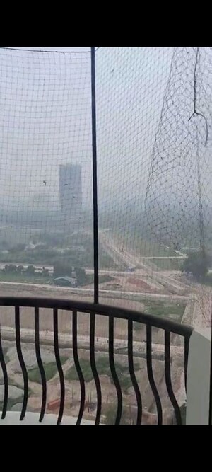 Swimming Pool in 4 BHK Penthouse at Amrapali Sapphire, Sector 45 – for Rent