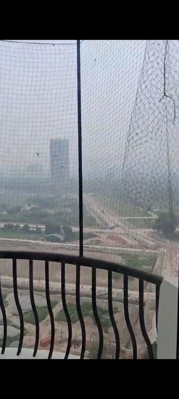 Swimming Pool in 4 BHK Penthouse at Amrapali Sapphire, Sector 45 – for Rent