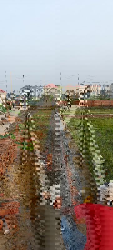 Plot For Sale in Neelendras Amity Greens