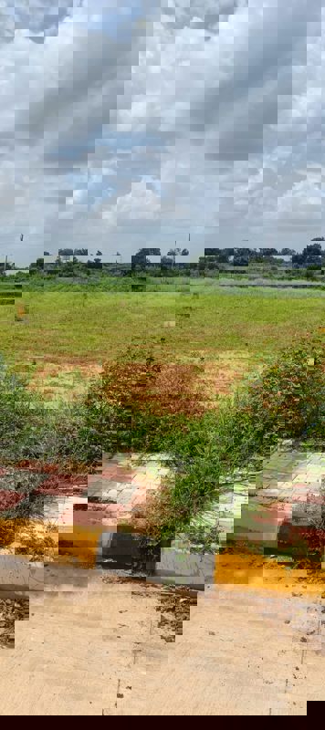 Plot For Sale in Fortune Butterfly City