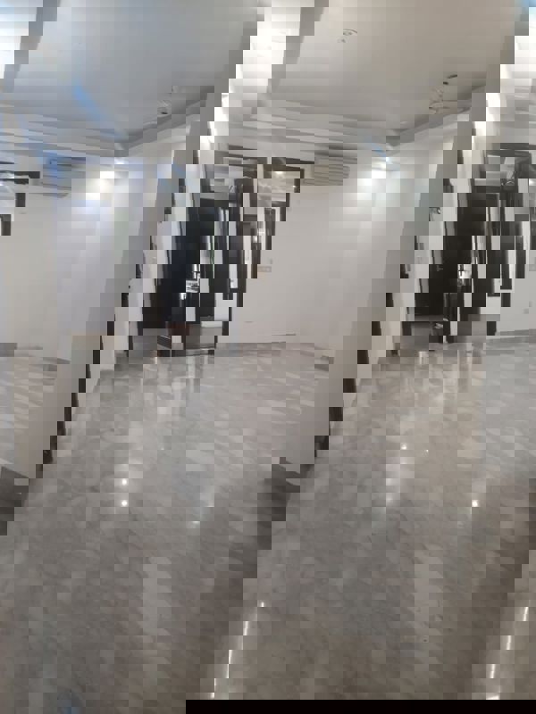 3 BHK + Pooja Room Builder Floor For Rent in Kailash Colony