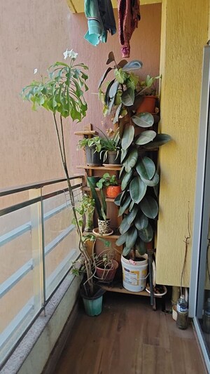 Balcony in 3.5 BHK Apartment at Amanora Adreno Towers, Hadapsar – for Rent