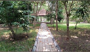  Plot – Exterior View View at Dholera - for Sale