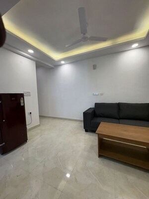 Living Room in 1 BHK Apartment at Saket – for Rent