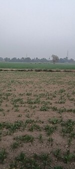 7 Acre Land in Ganaur