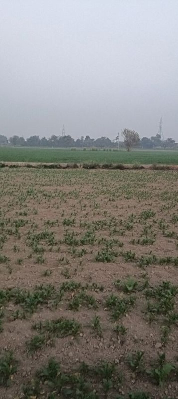 Cover Image, ganaur Commercial Land 7 Acre In Ganaur Sonipat 9858170