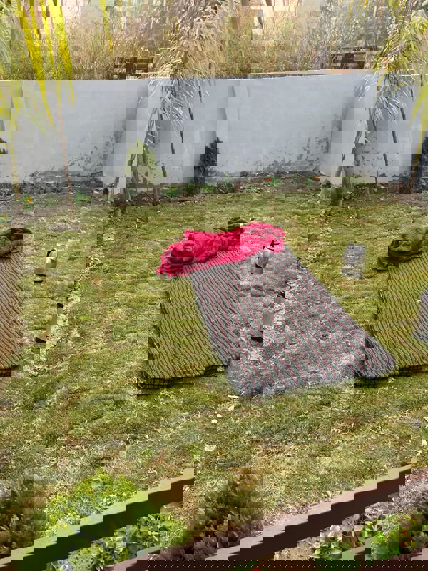 Plot For Sale in Sector 44