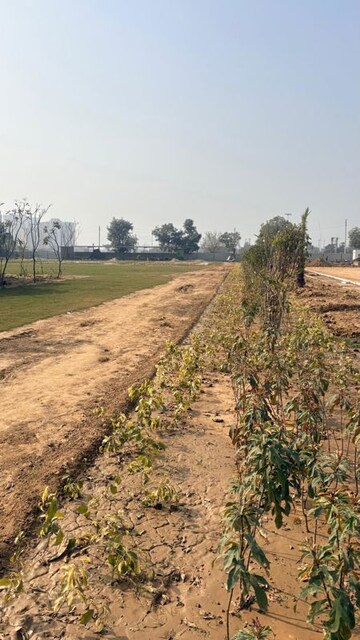 Plot Area in  Plot at Sector 98 – for Sale